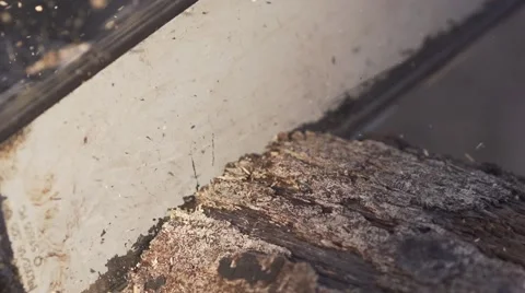 Chainsaw plunges into old timber - Closeup - 240fps slow motion 01 Stock Footage 41716137