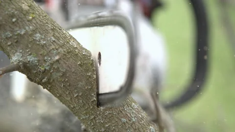 Chainsaw ripping through tree branch slow motion 4k Stock Footage 131249114