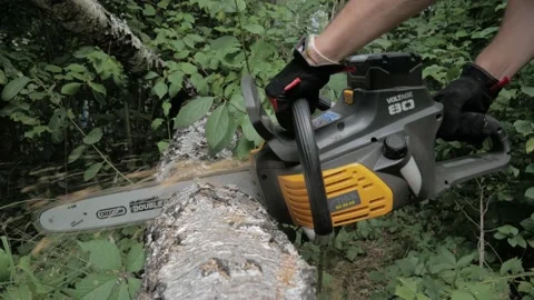 Chainsaw sawing a birch log Stock Footage 192897369