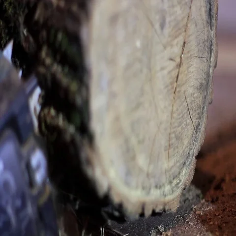 A chainsaw is sawing a log Video stock 69345563