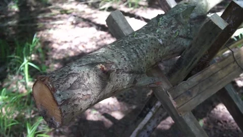 Chainsaw sawing a log Stock Footage 90263156