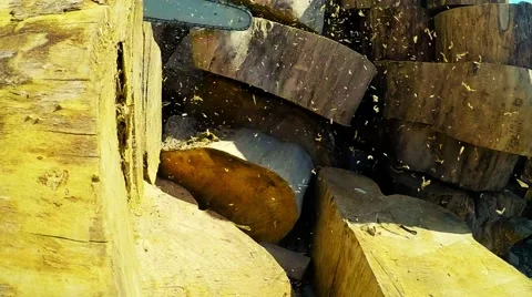 Chainsaw sawing logs. Slow motion. 库存影片 52004082