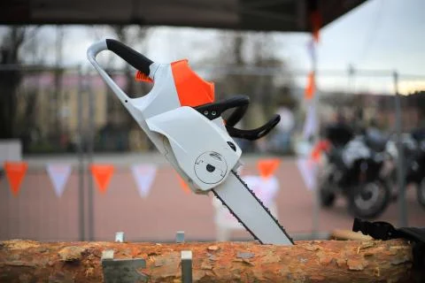 Chainsaw at the sawmill Foto stock