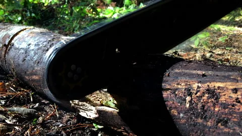 Chainsaw saws a log Stock Footage 95285768