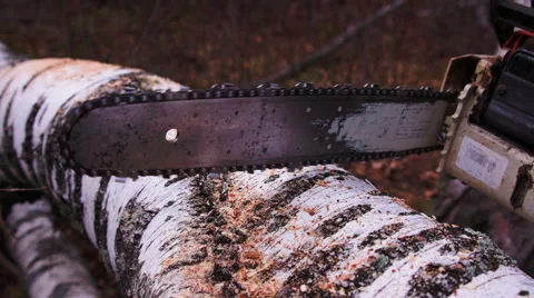 Chainsaw saws wood Stock Footage 49301088