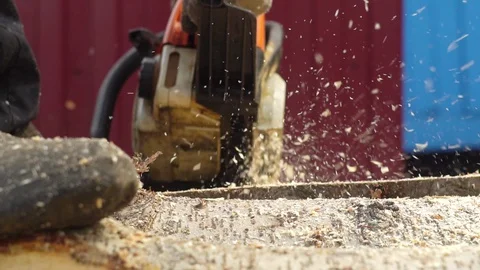 Chainsaw saws wood Stock Footage 92114934