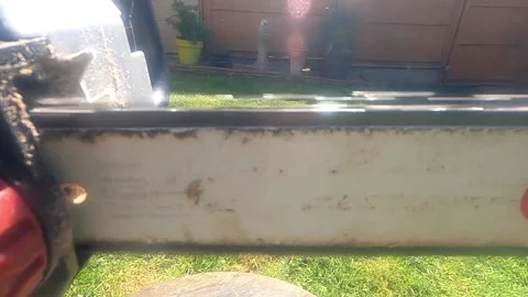 Chainsaw slow motion 11 Stock Footage 151638404