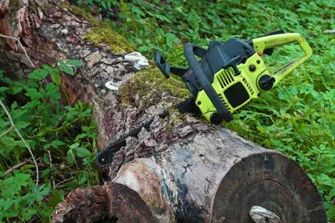 Chainsaw stuck in the old thick log Stock Photos