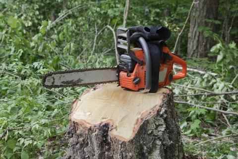 Chainsaw on a stump Stock Photos