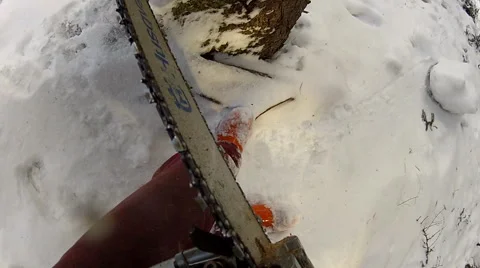 Chainsaw with subjective camera fixed on it cutting a tree Stock Footage 59322034