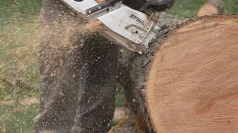 Chainsaw through tree Stock Footage 121336721