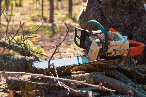 Chainsaw on top of cut down branches Stock Photos