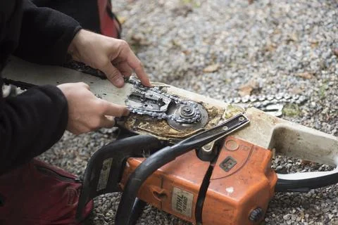 Chainsaw for tree cut or tree pruning Stock Photos