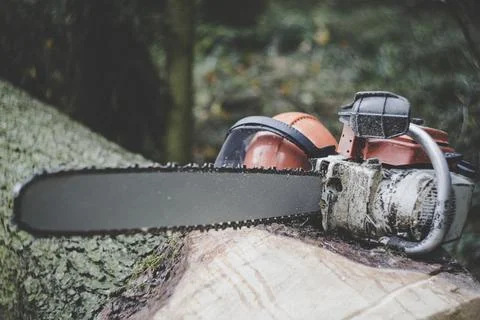 A chainsaw on a tree Stock Photos