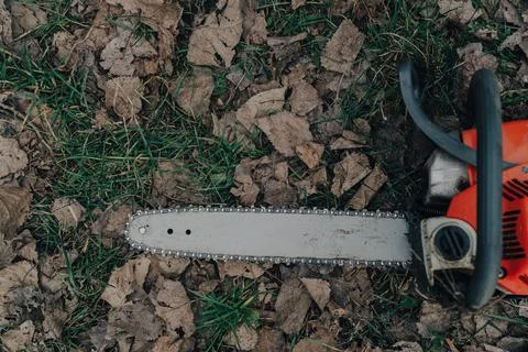 Chainsaw tree work tool in forest nature lifestyle Stock Photos