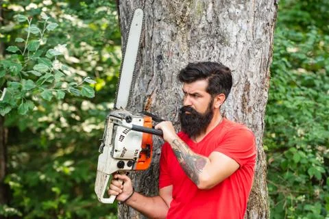 Chainsaw. Woodcutter with axe or chainsaw in the summer forest. Lumberjack on Stock Photos
