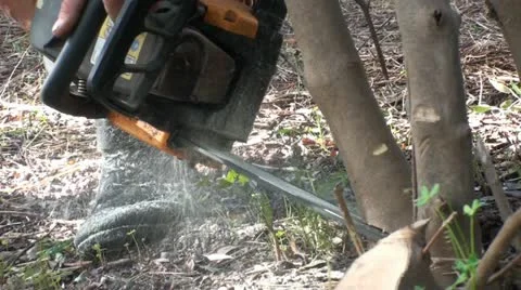 Chainsaw work (1) Stockbeeldmateriaal 22367927
