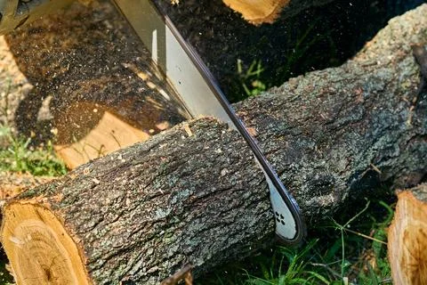 Chainsaw.Sawing a tree trunk for firewood Stock Photos