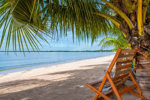 Chair and coconut palm at the Playa Larga beach in Cuba Stock Photos