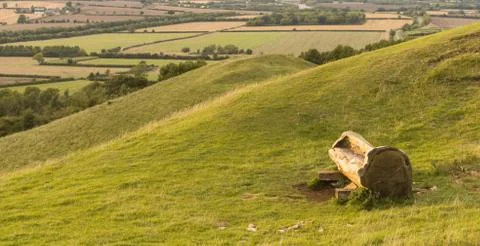A chair craved inside a tree, looking at charming British coutryside. Stock Photos