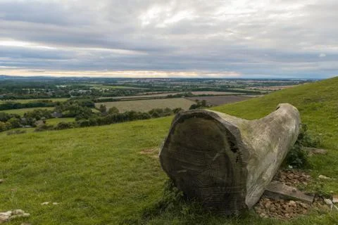 A chair craved inside a tree, looking at charming British coutryside. Stock Photos