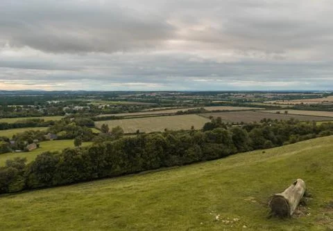 A chair craved inside a tree, looking at charming British coutryside. Stock Photos