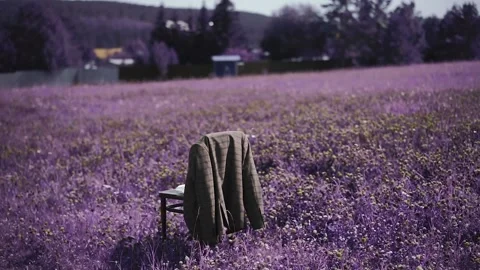 A chair in a field with clothes Stockbeeldmateriaal 131030296