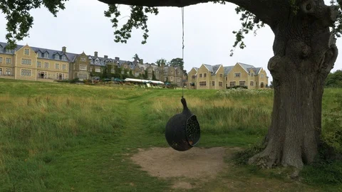 Chair hanging from large tree in front of large stately home, drone aerial 4K Stock Footage 101140816