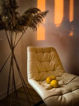 Chair with lemons Stock Photos