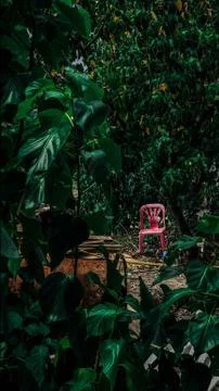 The Chair 库存照片