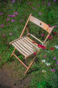 The chair Stock Photos