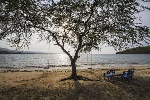 Chairs And Tree In Areia Branca Beach, Dili, East Timor Stock Photos