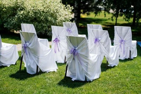 Chairs for the ceremony with white satin cape and purple ribbon on a green .. Stock Photos