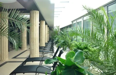 Chairs by the pool Stock Photos