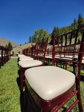 Chairs for wedding Foto stock