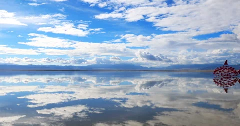 Chaka Salt Lake Stock Footage 295769003