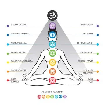 Chakra system, asana padmasana - vector editable illustration Иллюстрация
