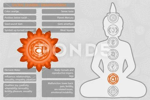 Chakras symbols with description of meanings infographic ~ Clip Art ...