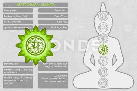 Chakras symbols with description of meanings infographic ~ Clip Art ...