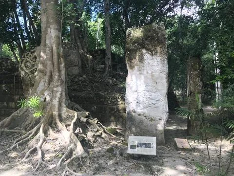 Chalakmul1 Stock Photos