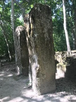 Chalakmul3 Stock Photos