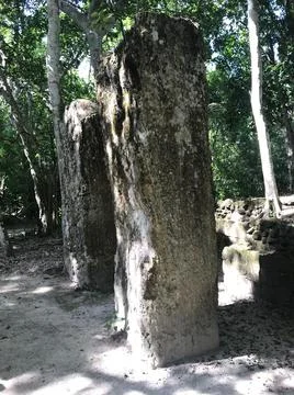 Chalakmul4 Stock Photos