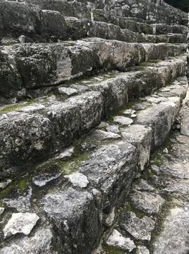 Chalakmul6 Stock Photos