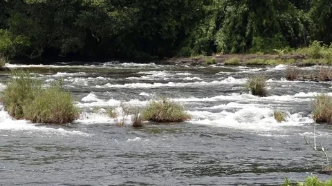 Chalakudy River  Vídeos de archivo 83568631