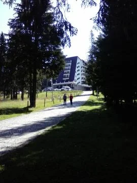 The chalet between trees Stock Photos