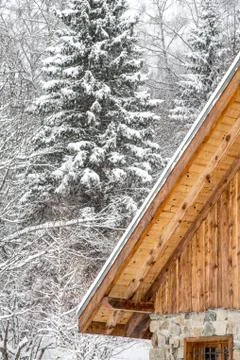 Chalet in winter Stock Photos