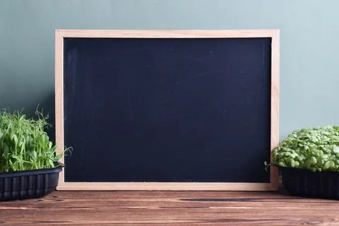 Chalk blackboard with micro-greenery with space for text. Copy space. Stock Photos