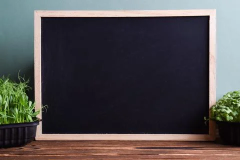 Chalk blackboard with micro-greenery with space for text. Copy space Stock Photos