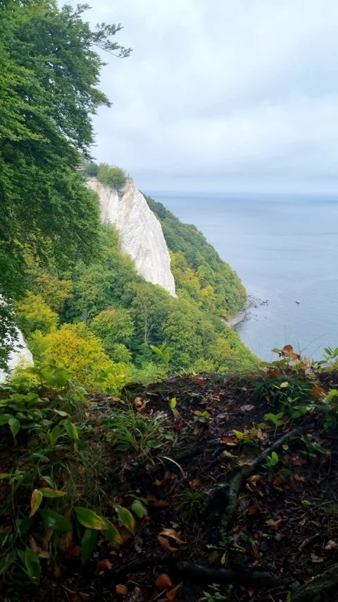 Chalk Cliff and Baltic Sea in Vertical Format on Ruegen 動画素材 346411546