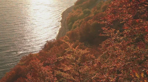 Chalk Cliff In Autumn Wind Still With A Beautiful Red Forest Stock Footage 36645976